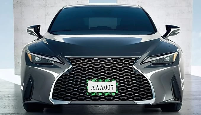 Interesting Aliens UFO License Plate Frame